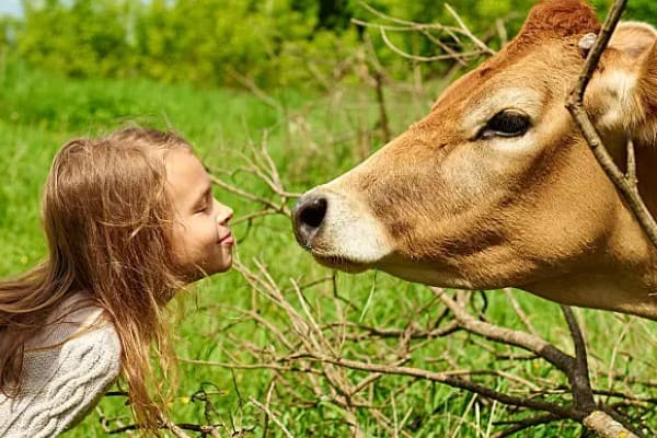 100 Animales
