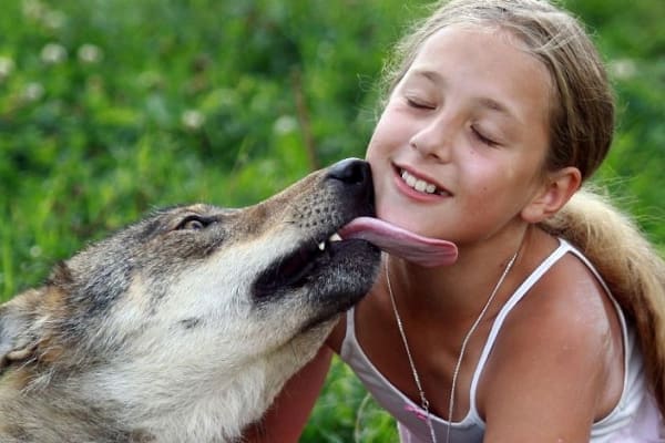 100 Animali