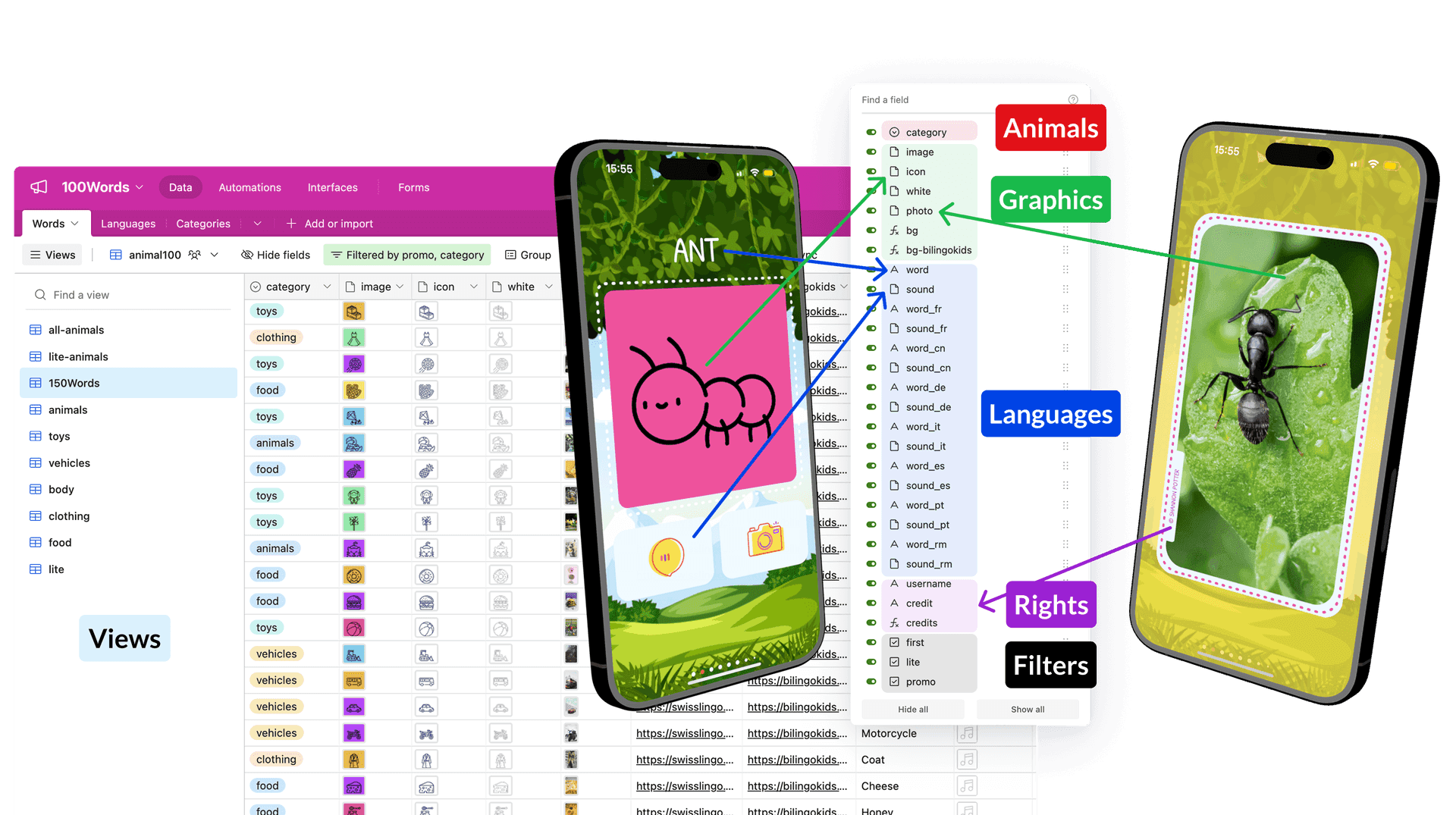 Airtable database — each row a word, each column a language