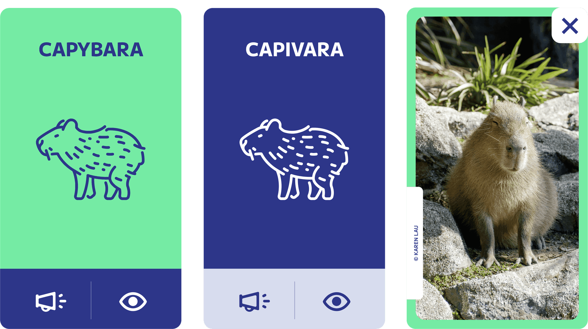 App card design — icon, photo, word label, and audio button combined